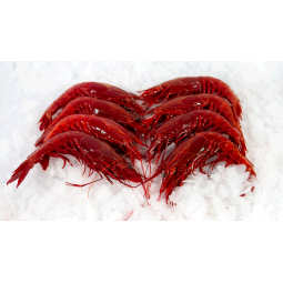 Gambon Carabinero 1 kg/ 6...