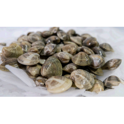 Xirla Rossellona 500 gr