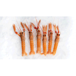 Escamarlans 500 gr