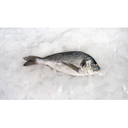 Dorada cultivo 350 gr