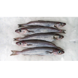 Maira/Mare de lluç 500 gr