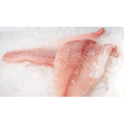 Perca Filete 500 gr/1 pieza