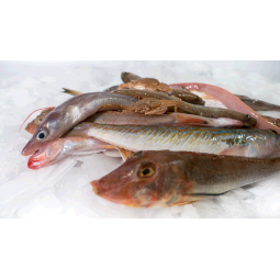 Peix per suquet 1 kg