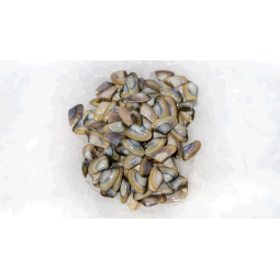 Tallarina 500 gr