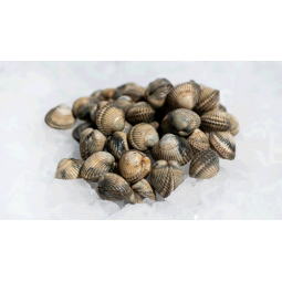 Berberetxo/Escopinyes 500 gr