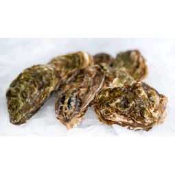 Ostró del Delta 1 kg