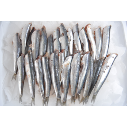 Boqueró de la llum safates...