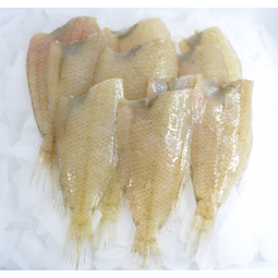 Pelaya costa 500 gr
