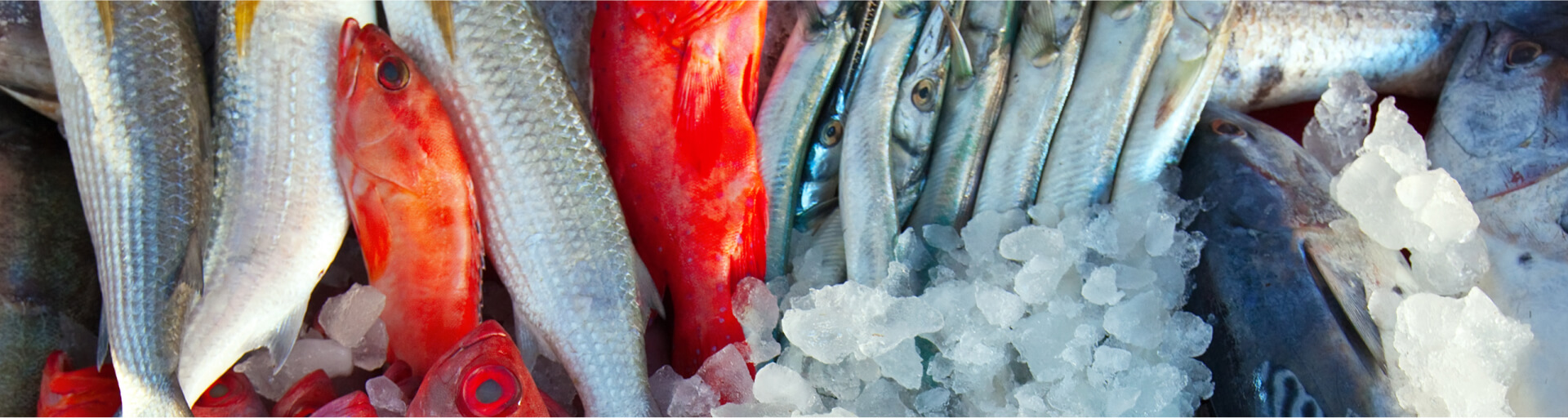 Pescateria online image